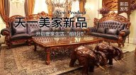 天一美家柚至尊新品，開啟奢享生活柚時代！